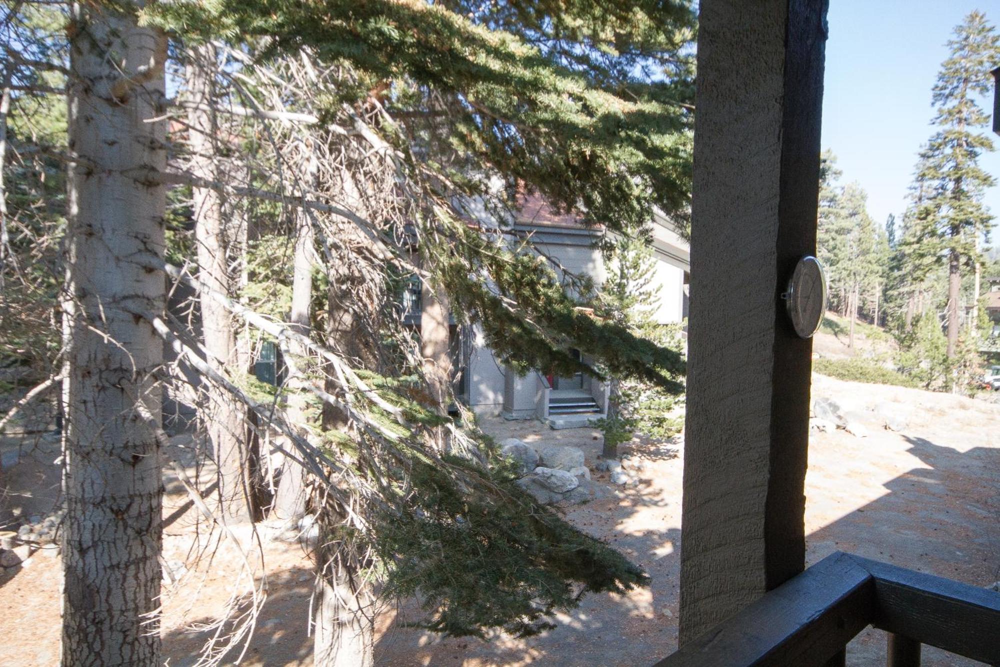 Chamonix #36 Vila Mammoth Lakes Exterior foto